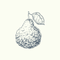 Bergamot 