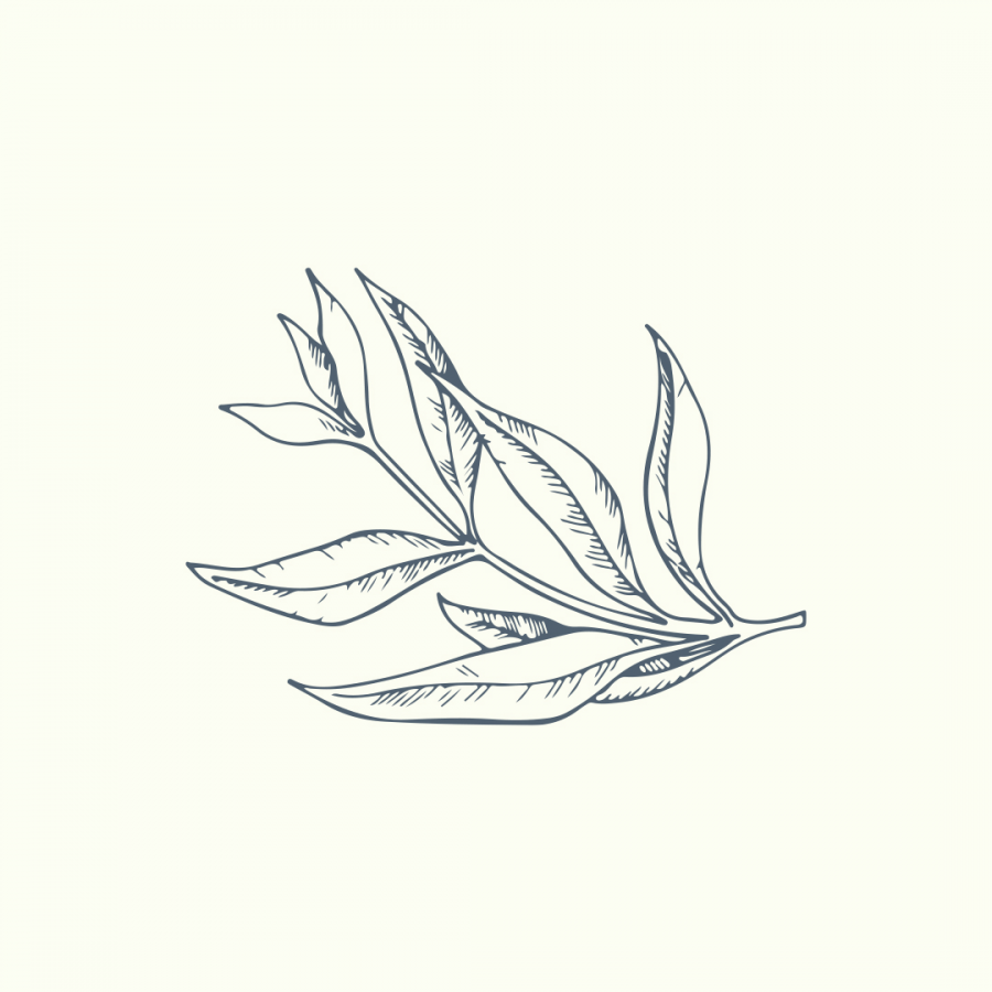 Vienurla