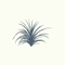 Citronella