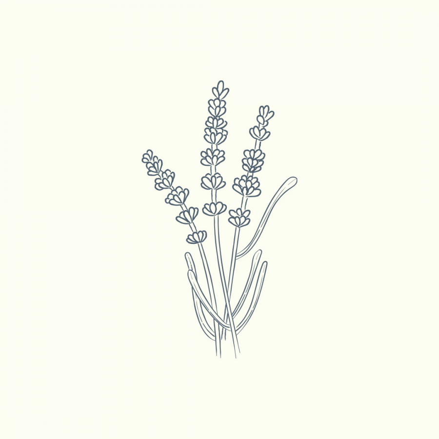 Lavanta (Lavandula angustifolia) uçucu yağı, aromaterapide yatıştırıcı, antidepresan ve antienflamatuar etkileriyle öne çıkar; ciltte maksimum %0,1 dermal kullanım önerilir.