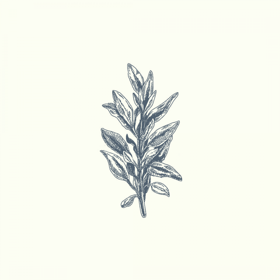 Vienurla Misk Adaçayı (Salvia sclarea) uçucu yağı, sedatif ve afrodizyak etkileriyle aromaterapide gerginlik, migren ve PMS destekleyici olarak kullanılır.