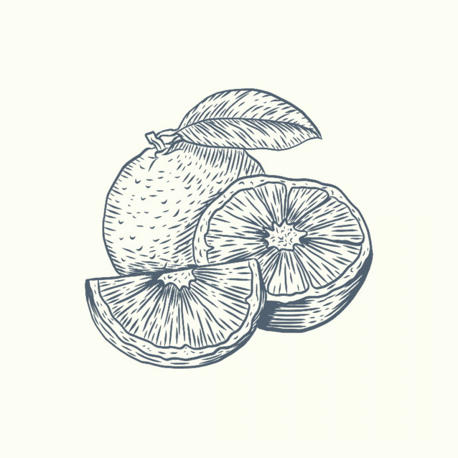 Vienurla Portakal (Citrus sinensis) uçucu yağı, antiseptik ve antidepresan etkileriyle aromaterapide enerji verici, mod yükseltici ve rahatlatıcı deneyim sunar.
