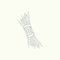 Vetiver