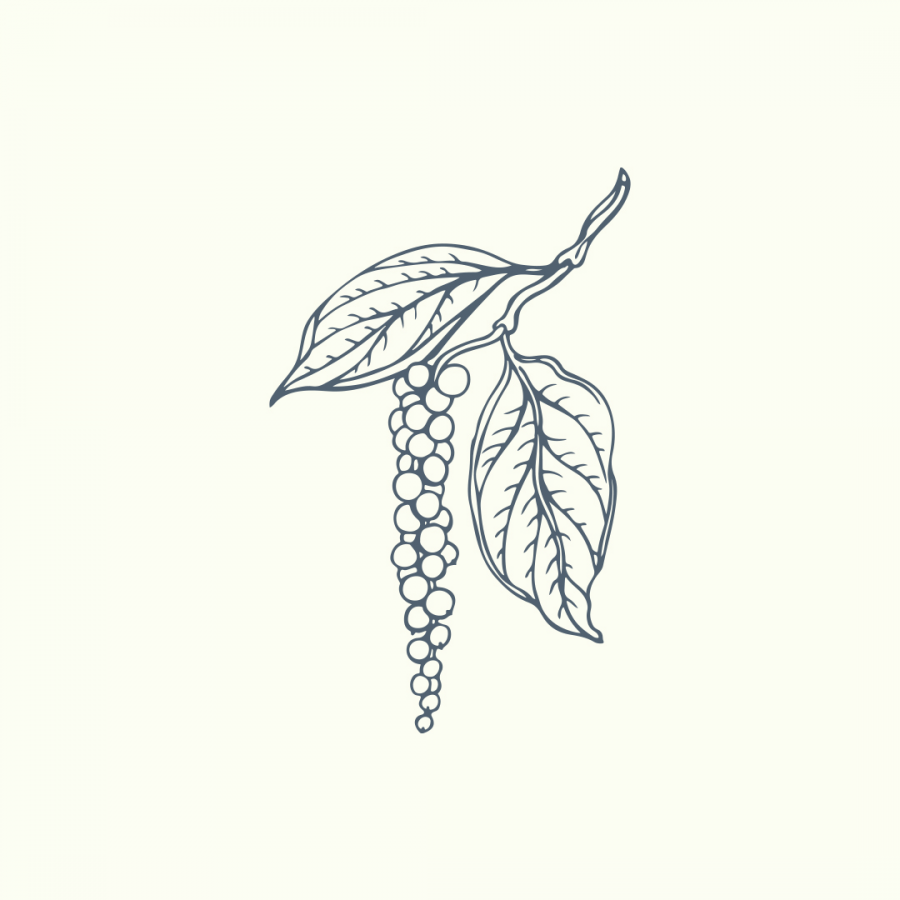 Vienurla Karabiber (Black Pepper) uçucu yağı ile aromaterapide analjezik, sindirimi destekleyici ve motivasyonu artırıcı etkilerden faydalanın.